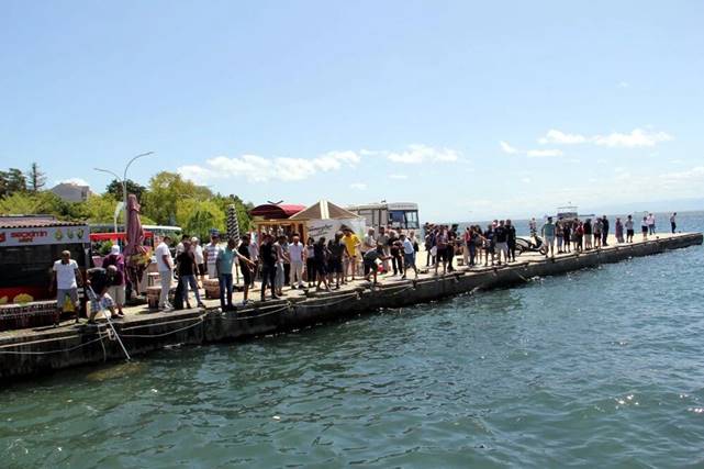 Deniz suyunun ani soğumasıyla şoka giren tonlarca balık kıyıya vurdu