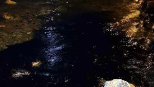 Aliağa ve Foça'da Petrol Kirliliği
