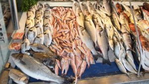 Balıkçılar Bismillah Vira Demeye Hazırlanıyor