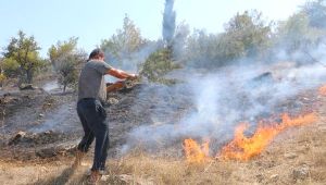 Bergama'da 8 Hektar Fıstık Çamı Ormanı Yandı