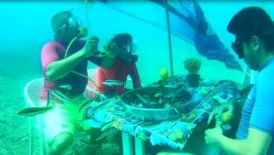 Deniz Altında Yemek Keyfi