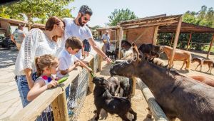 Doğal Yaşam “bayram” etti