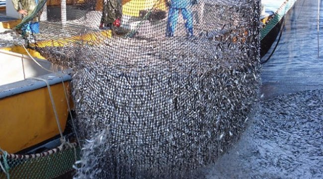 Gözler 1 Eylül'de! Yasak bitiyor...