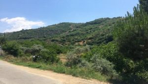 İncir Vadisinde Jeotermal Krizi Devam Ediyor