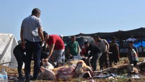 Kesim Yerleri Yetersiz Kaldı, Yine Aynı Görüntü Ortaya Çıktı