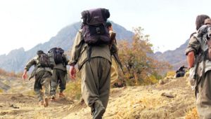 Kırmızı bültenle aranan PKK'lı terörist yakalandı