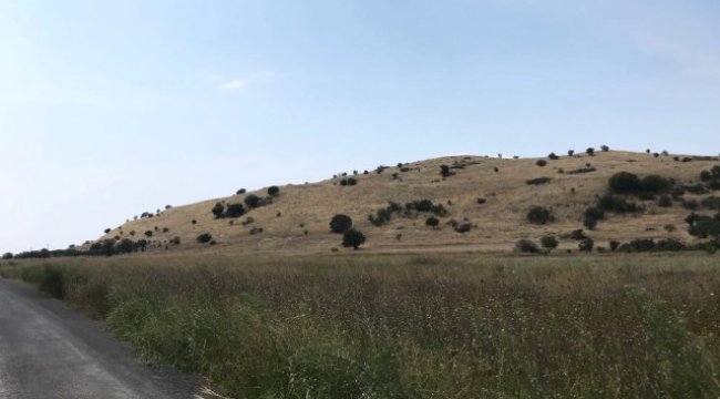 Myrina ve Gryneion'da Yüzey Araştırmalarına Başlandı