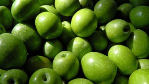 Zeytin ve zeytinyağı ihracatında tarihi rekor