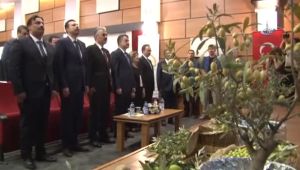 Bakan Pakdemirli, Zeytin Rekoltesini Açıkladı