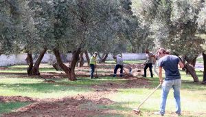 Bayraklı'nın Parklarında Tasarruf Dönemi