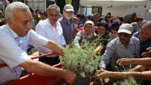“Buca’nın Lavanta Kokan Köyü Doğancılar”