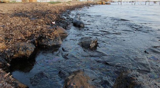 CHP'li Bakan Foça Felaketini Meclise Taşıdı