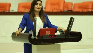CHP'li Kılıç, Servis Yönetmeliğindeki Değişikleri Sordu