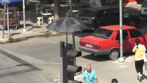 İçimizi Isıtan Görüntüler.. Kumruya Şemsiyeli Koruma
