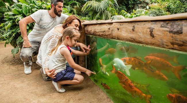 İzmir'in Tanıtımına 'Büyük' Katkı