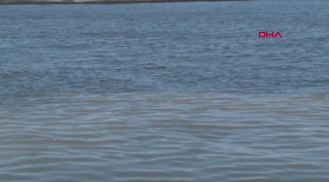 Kötü Koku ve Körfez Kirliliği Tepkisi