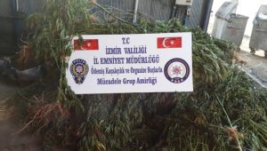 Ödemiş'te Uyuşturucu Operasyonu