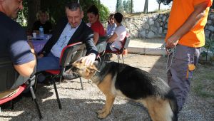 Başkan Şenol’dan çağrı: Satın alma, sahiplen!
