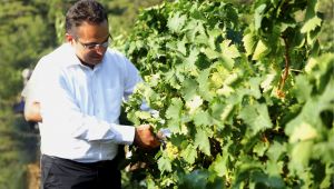 Bornova'da Unutulan Festival Yeniden Canlandırılacak