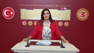CHP'li Kılıç Devlet Kreşindeki O İddiaları Meclise Taşıdı