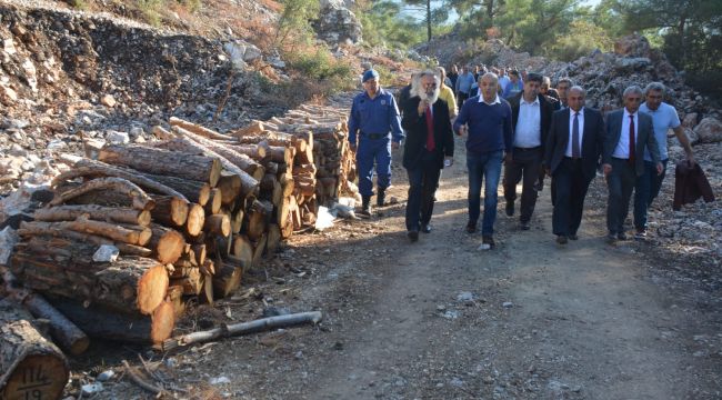 CHP'li Polat, 'Taş İçin Ormanın Katledilmesine İzin Vermeyeceğiz!'