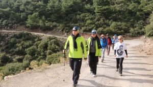 Doğal Ürünlere Aracısız Ulaşma İmkanı