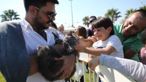 En sevimli festival!