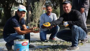 Gaziemir’de Hasat Mutluluğu
