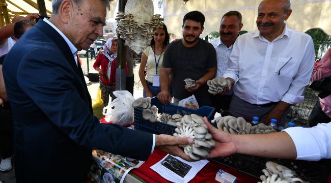 Hem Sağlık Hem Lezzet