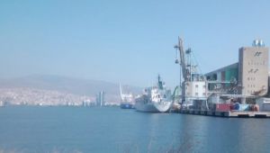 Limanda Bekleyen Gemi de Şarbon Mu Var?