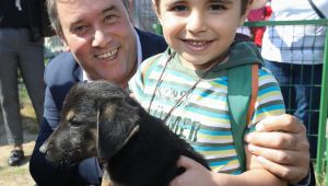 Sokak Hayvanlarını Yok Saymayın