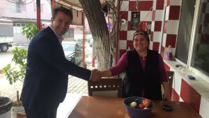 CHP’li Taşdemir, Menderes Marka Olacak!