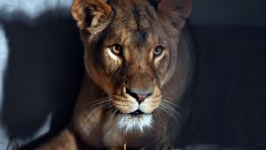 Çocuklar Bu Habere Çok Sevinecek