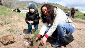 Karşıyaka’da fidan dikmeyene ruhsat yok