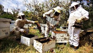 Karşıyakalı Kadınların Markası: Balköy