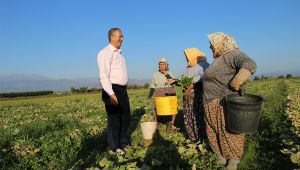 Tarım Bakanı’nı İzmir’de staj yapmaya çağırdı