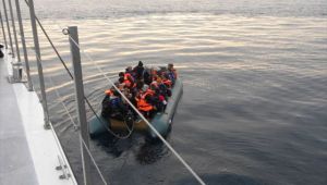 95 Düzensiz Göçmen Yakalandı
