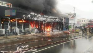 Çeşme'de çıkan yangın güçlükle kontrol altına alındı