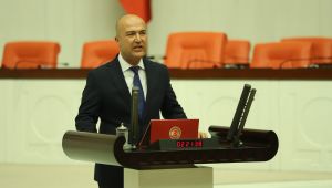 CHP'li Bakan: "Gökçealan’ın doğasını, üretimini ve halkını koruyacak mısınız?"