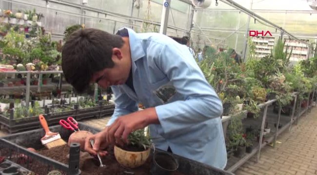 Engelleri Aştı, Kendi Serasını Kurdu