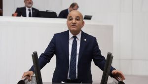 Polat: "Emekçiye bütçe istiyoruz!"