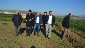 Tarlada Kalan Ispanak Meclis Gündeminde