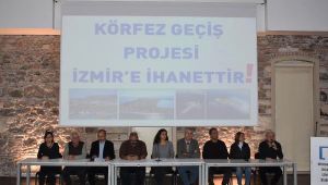 Tmmob: Körfez Geçiş Projesi Çed İptaliyle Flamingolar Kazandı