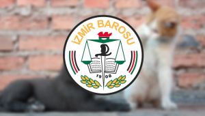 "Yasa tasarıları hayvan haklarını korumaktan uzaktır"