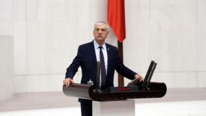 CHP'li Beko, "Yetkinin tek başına Cumhurbaşkanına verilmesi doğru değil"