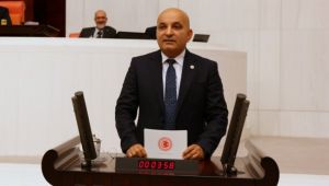 CHP'li Polat, "Karaburun nergisi için hangi çalışmalar yapılıyor?"