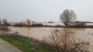 İzmir'de Küçük Menderes Nehri Taştı, Tarlalar Su Altında Kaldı