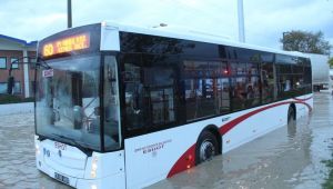 İzmir Sele Teslim