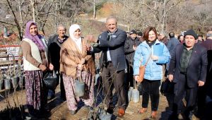 Ödemiş Belediyesi'nden fidan desteği