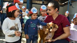 Satın alma, sahiplen!